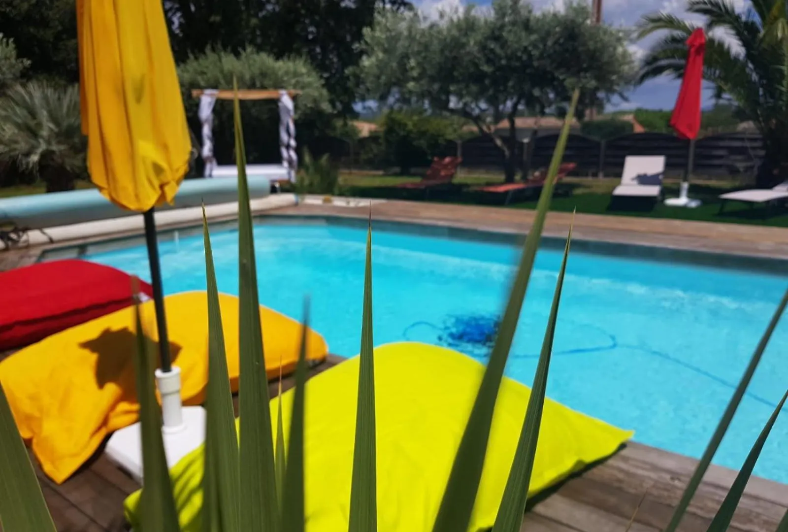 Villa Des 14 Oliviers Piscine Et Spa ル・リュック